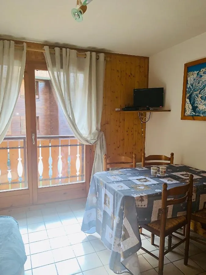Studio Montagne Pieds Des Pistes Et Depart De Randonnee Ete Comme Hivers Morzine Apartment