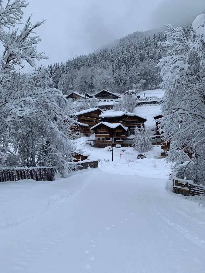 Apartment Studio Montagne Pieds Des Pistes Et Depart De Randonnee Ete Comme Hivers Morzine
