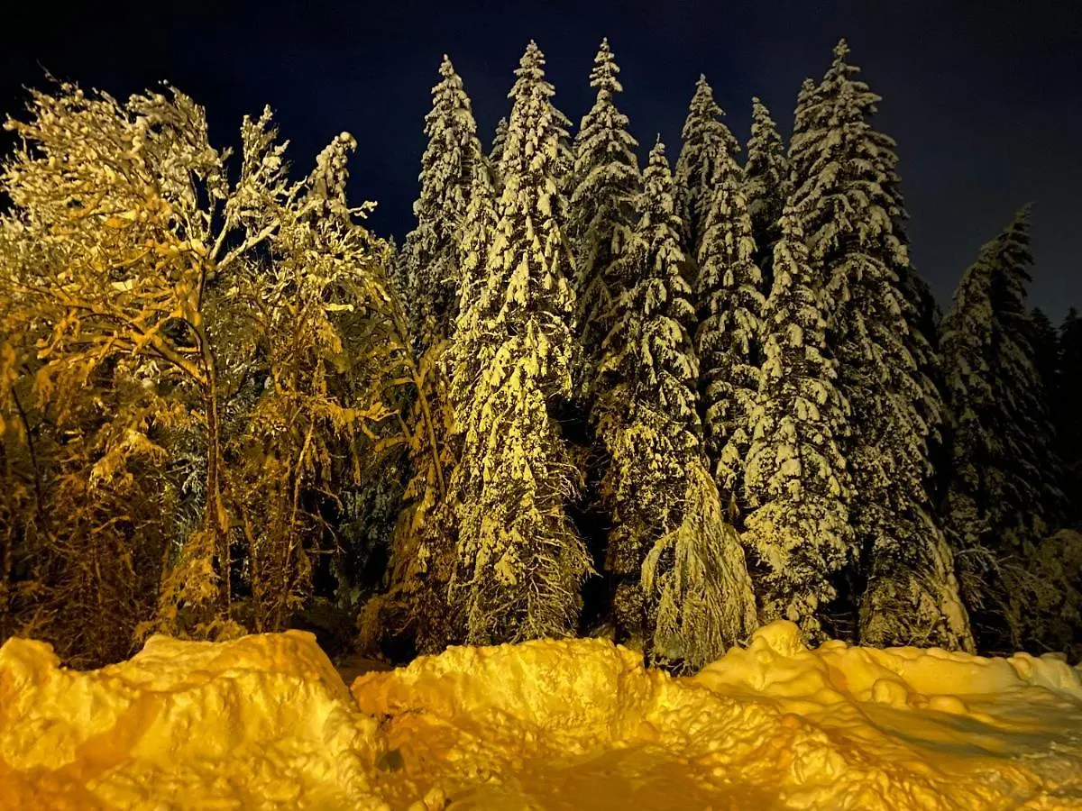 Apartment Studio Montagne Pieds Des Pistes Et Depart De Randonnee Ete Comme Hivers Morzine